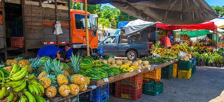 Tropical fruit on display at a Costa Rican farmer's market