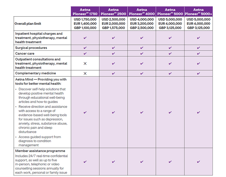 Discover Aetna Pioneer Aetna International