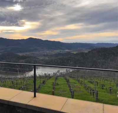 Panoramic view of Napa Valley, CA, where Aetna International met with 20 key brokers in March 2019