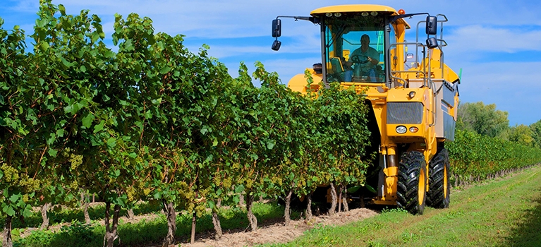 South Africa farming