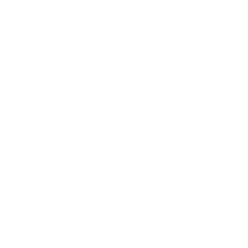 white document icon