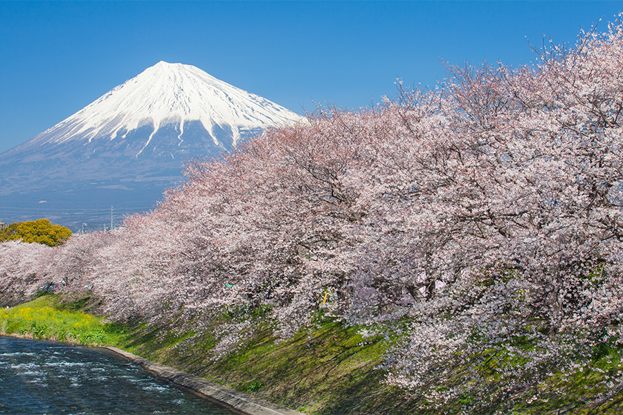 Japanese geography